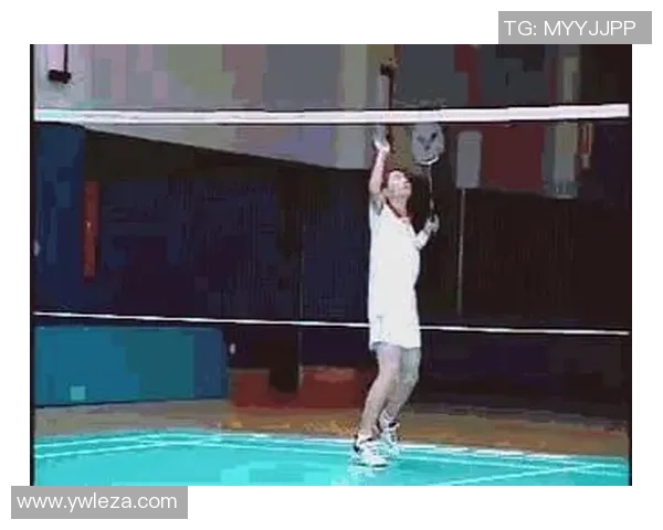 杭州羽毛球队的转换打法深度分析与战术解析