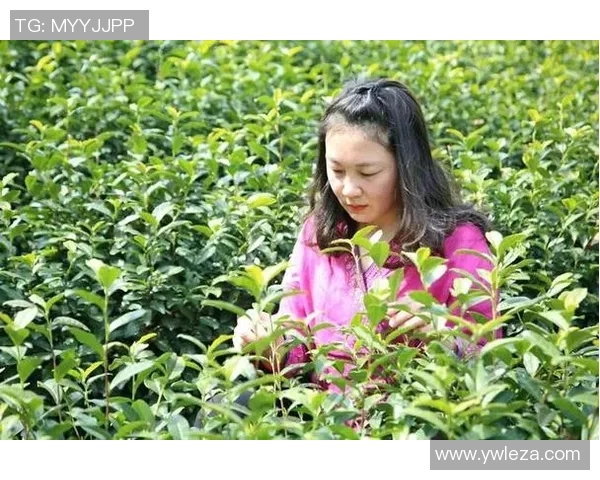 2023年全球足球明星身价排名揭秘视频精彩回顾与分析